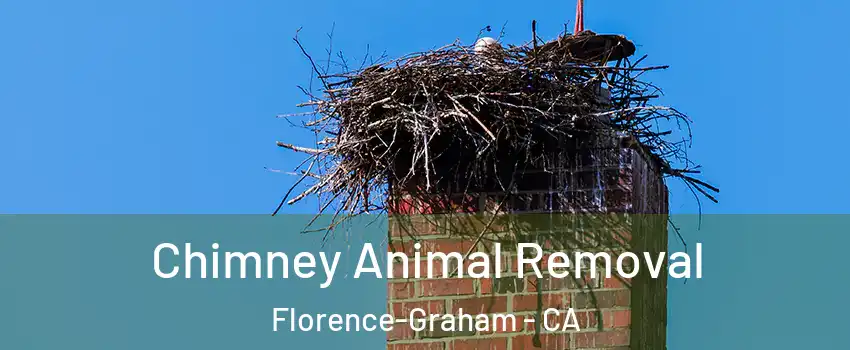 Chimney Animal Removal Florence-Graham - CA